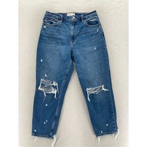 Abercrombie & Fitch curve love mom jeans 30/10 short